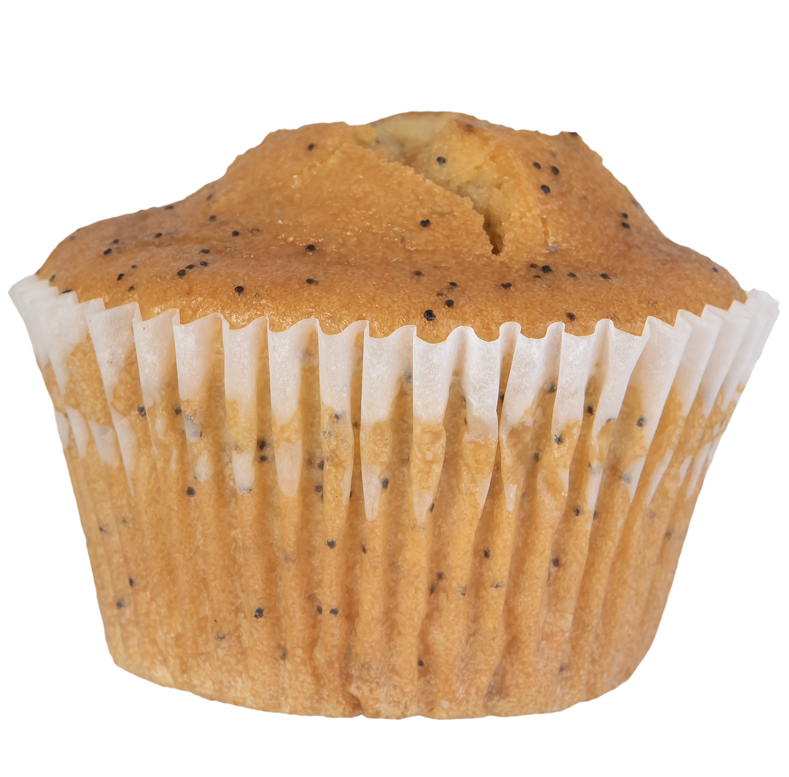 32 Lemon Poppy Seed Muffins