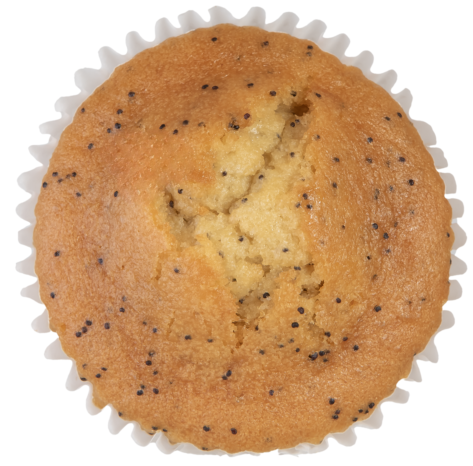 32 Lemon Poppy Seed Muffins